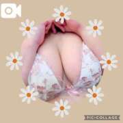 ヒメ日記 2025/10/08 17:50 投稿 もも ウルトラホワイト