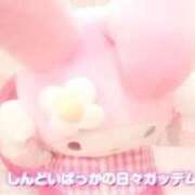 ヒメ日記 2026/01/12 20:27 投稿 星野　れいな 松山回春性感エステオールスターズ