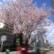 ヒメ日記 2026/03/31 12:32 投稿 める 新世紀