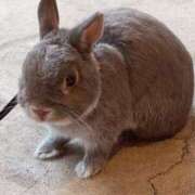 ヒメ日記 2025/07/15 17:29 投稿 けいな 鶯谷おかあさん