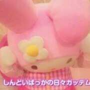 ヒメ日記 2025/03/09 17:07 投稿 星野　れいな Muzerva Wave