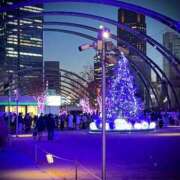 ヒメ日記 2024/12/17 13:31 投稿 じゅんこ 小岩人妻花壇