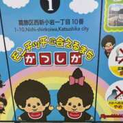 じゅんこ モンチッチ 小岩人妻花壇