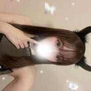 ヒメ日記 2025/12/06 15:28 投稿 めい 深海魚