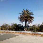 ヒメ日記 2025/02/27 11:14 投稿 けいな 池袋おかあさん