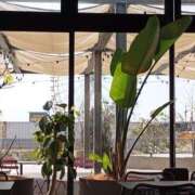 ヒメ日記 2025/03/25 14:16 投稿 けいな 池袋おかあさん