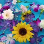 ヒメ日記 2025/08/12 10:27 投稿 けいな 池袋おかあさん