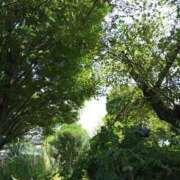 ヒメ日記 2025/08/29 13:24 投稿 けいな 池袋おかあさん