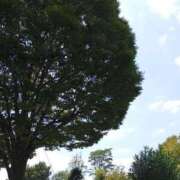 ヒメ日記 2025/08/30 15:34 投稿 けいな 池袋おかあさん