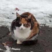 ヒメ日記 2026/01/12 07:14 投稿 けいな 池袋おかあさん