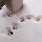 ヒメ日記 2026/01/26 19:44 投稿 けいな 池袋おかあさん