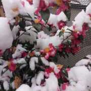 ヒメ日記 2026/02/08 17:25 投稿 けいな 池袋おかあさん