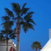 ヒメ日記 2026/02/19 18:24 投稿 けいな 池袋おかあさん