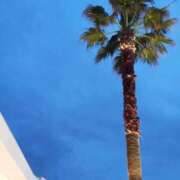 ヒメ日記 2026/03/26 18:44 投稿 けいな 池袋おかあさん