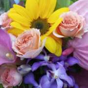 ヒメ日記 2026/04/30 18:59 投稿 けいな 池袋おかあさん