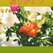 ヒメ日記 2025/06/29 23:14 投稿 しずか 池袋おかあさん