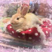 ヒメ日記 2024/12/28 20:33 投稿 菊池　あかり NADIA京都店