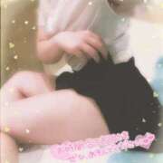 ヒメ日記 2025/01/08 20:36 投稿 菊池　あかり NADIA京都店