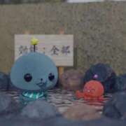 ヒメ日記 2025/02/05 18:03 投稿 菊池　あかり NADIA京都店