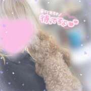 ヒメ日記 2025/04/05 22:31 投稿 菊池　あかり NADIA京都店