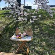 ヒメ日記 2025/04/16 15:01 投稿 菊池　あかり NADIA京都店