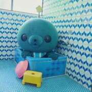 ヒメ日記 2025/05/22 15:02 投稿 菊池　あかり NADIA京都店