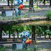 ヒメ日記 2025/06/10 15:01 投稿 菊池　あかり NADIA京都店