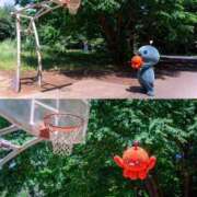 ヒメ日記 2025/06/16 16:30 投稿 菊池　あかり NADIA京都店