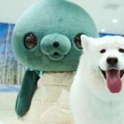 ヒメ日記 2025/06/19 15:01 投稿 菊池　あかり NADIA京都店