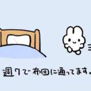 ヒメ日記 2025/07/16 16:01 投稿 菊池　あかり NADIA京都店