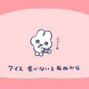 ヒメ日記 2025/07/19 14:30 投稿 菊池　あかり NADIA京都店