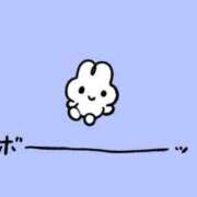 ヒメ日記 2025/08/13 17:01 投稿 菊池　あかり NADIA京都店