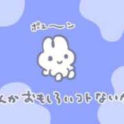 ヒメ日記 2025/08/14 02:00 投稿 菊池　あかり NADIA京都店