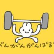 ヒメ日記 2025/08/29 17:02 投稿 菊池　あかり NADIA京都店