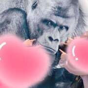 ヒメ日記 2025/04/21 07:57 投稿 いずみ 逢って30秒で即尺