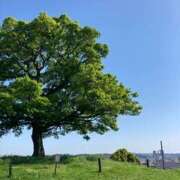 ヒメ日記 2025/04/26 07:14 投稿 いずみ 逢って30秒で即尺