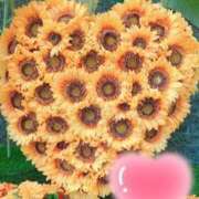 ヒメ日記 2025/10/04 06:08 投稿 いずみ 逢って30秒で即尺