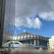 ヒメ日記 2026/01/17 11:18 投稿 いずみ 逢って30秒で即尺