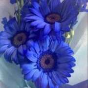 いずみ おはようございます? 逢って30秒で即尺