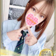 せり ごめんねとお知らせ૮( ̳ т ̫ т ̳ )ა 神田ハンドメイド