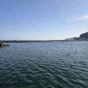 ヒメ日記 2026/01/27 16:08 投稿 せり 神田ハンドメイド