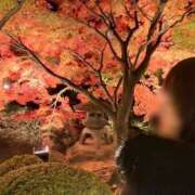 ヒメ日記 2025/11/25 15:57 投稿 あいる リアル 京橋店