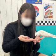 あいる ‪🦜‬🌿‬🌱 リアル 京橋店