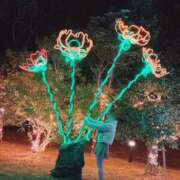 ヒメ日記 2025/12/31 02:57 投稿 あいる リアル 京橋店