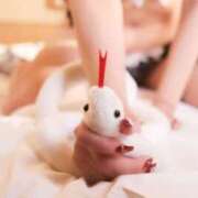 ヒメ日記 2025/11/04 00:47 投稿 あさみ 名古屋痴女性感フェチ倶楽部