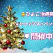 ヒメ日記 2023/12/22 11:00 投稿 佐久間 あおい ハレ系 ひよこ治療院(中州)