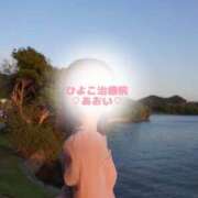 ヒメ日記 2025/12/02 21:36 投稿 佐久間 あおい ハレ系 ひよこ治療院(中州)