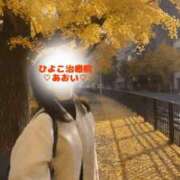 佐久間 あおい ♡お散歩♡ ハレ系 ひよこ治療院(中州)