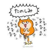 ヒメ日記 2026/03/16 15:17 投稿 にあ 完全密室 無抵抗