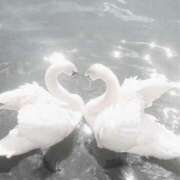 ヒメ日記 2025/05/19 15:53 投稿 らん 手コキガールズコレクション